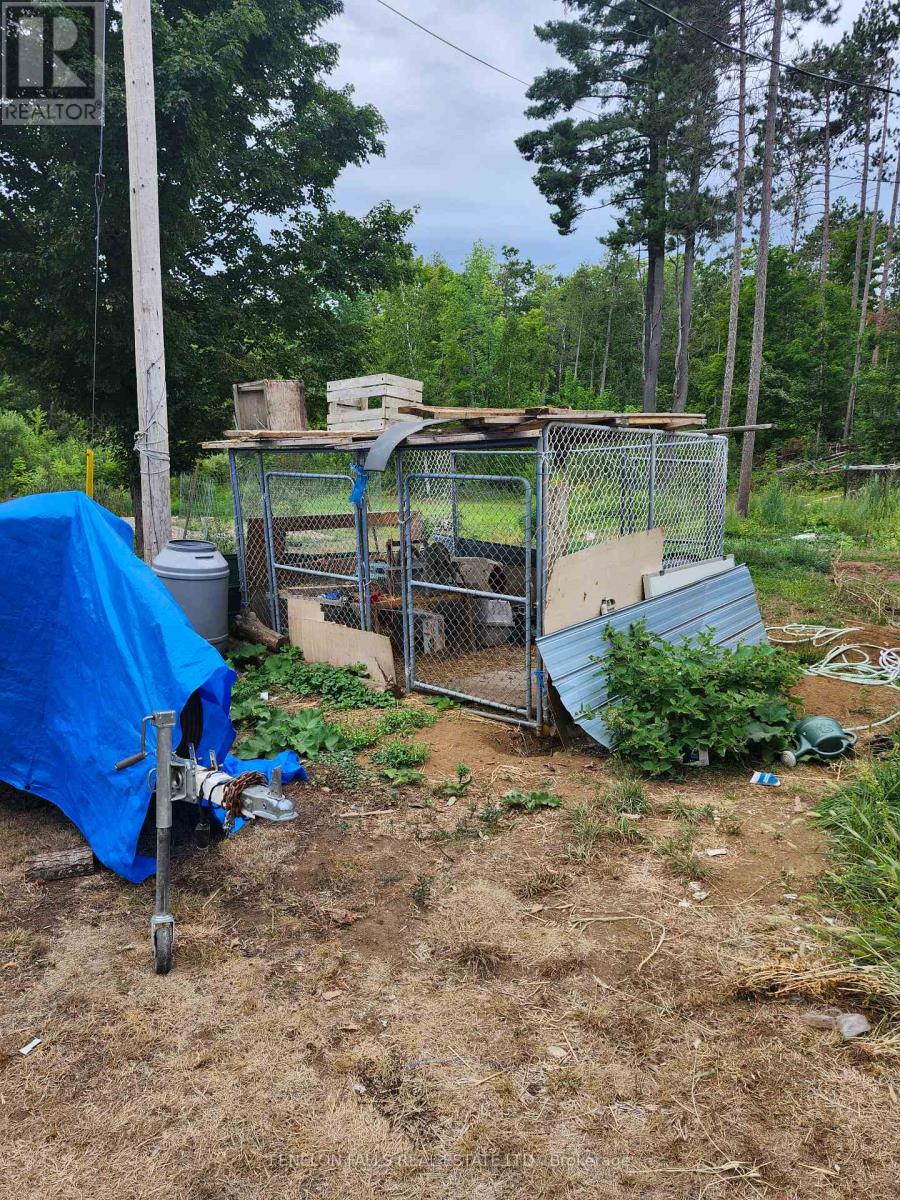 1172 Crystal Lake Road, Trent Lakes, Ontario  K0M 2A0 - Photo 8 - X12355147