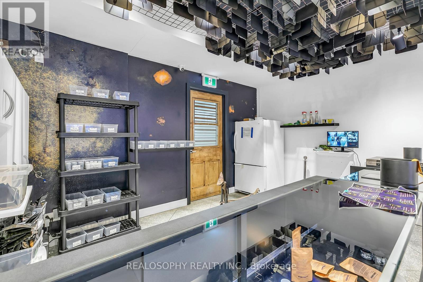 518 Queen Street W, Toronto (Kensington-Chinatown), Ontario  M5V 2B3 - Photo 7 - C12355070