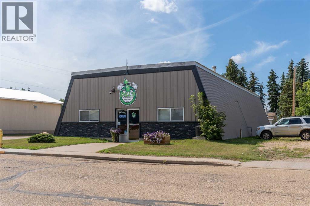 4901 48 Street, Sedgewick, Alberta  T0B 4C0 - Photo 1 - A2248628