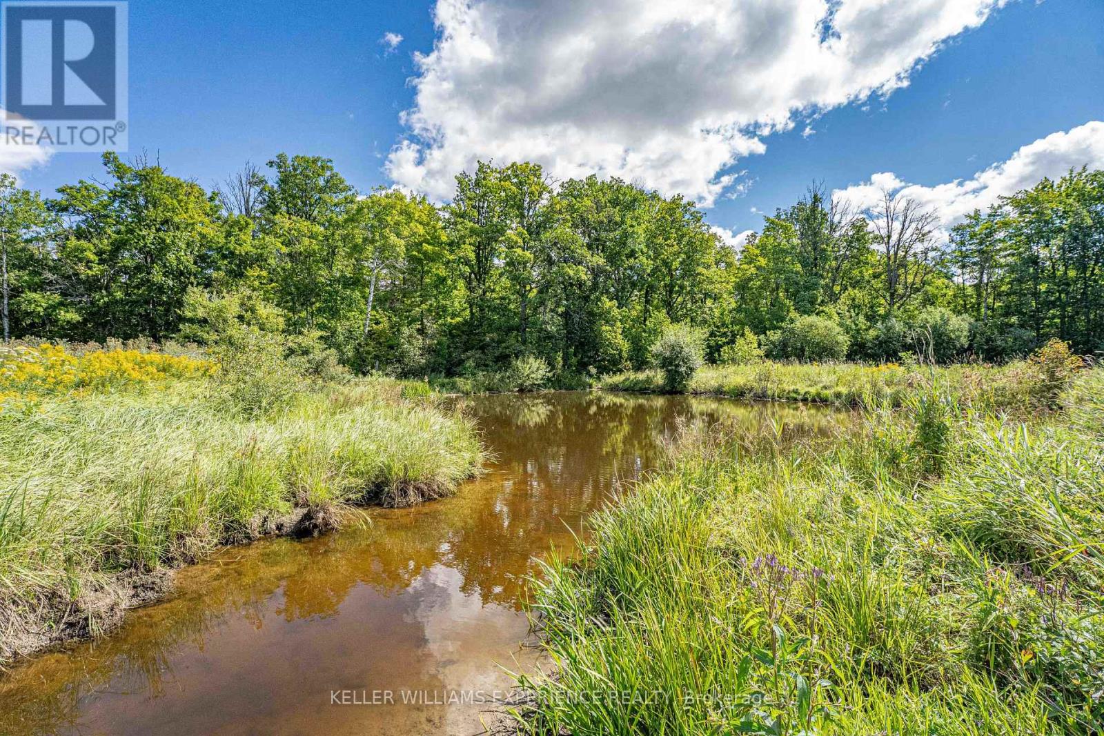 1213 Taylor Line, Severn, Ontario  L0K 1E0 - Photo 43 - S12355067