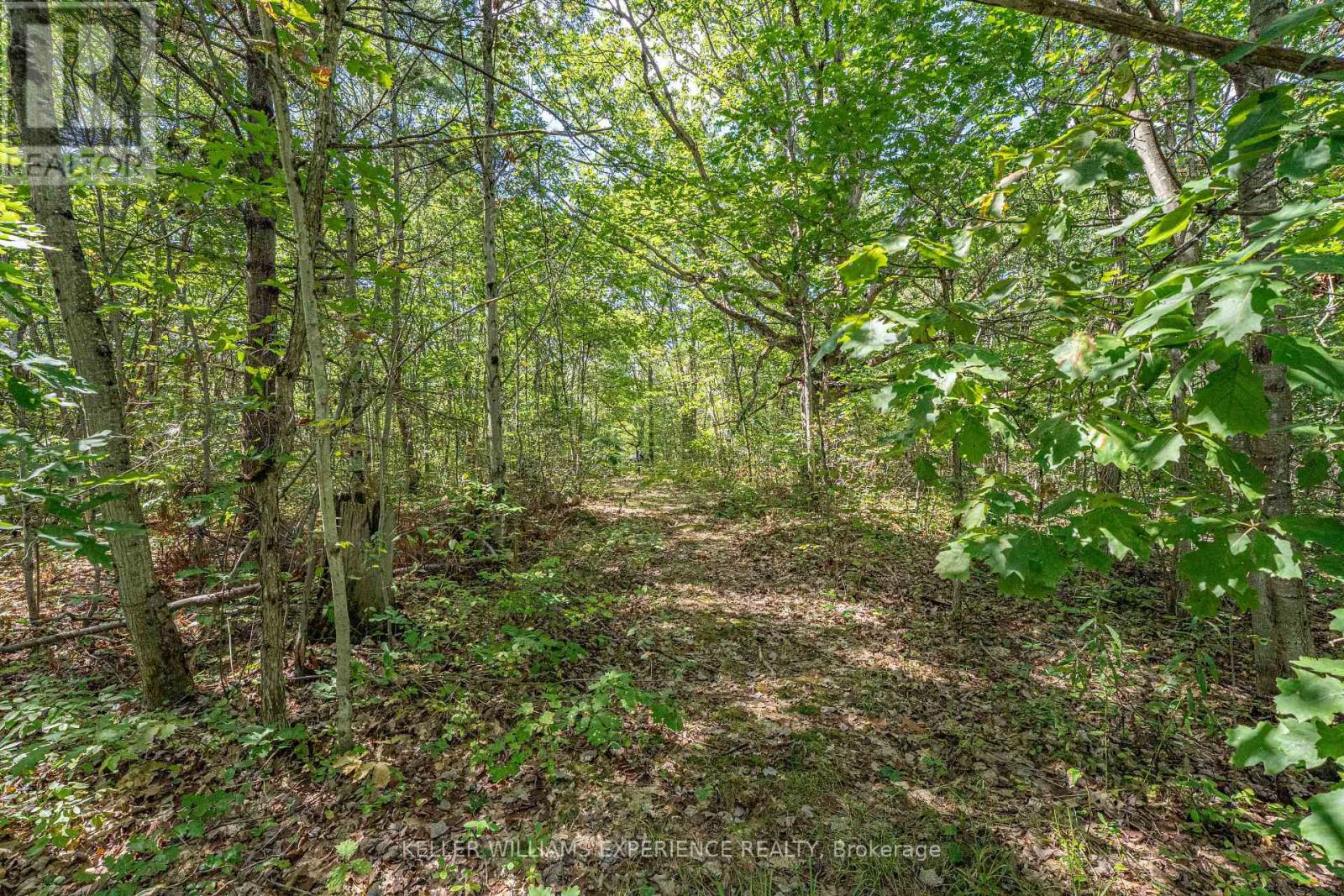 1213 Taylor Line, Severn, Ontario  L0K 1E0 - Photo 47 - S12355067