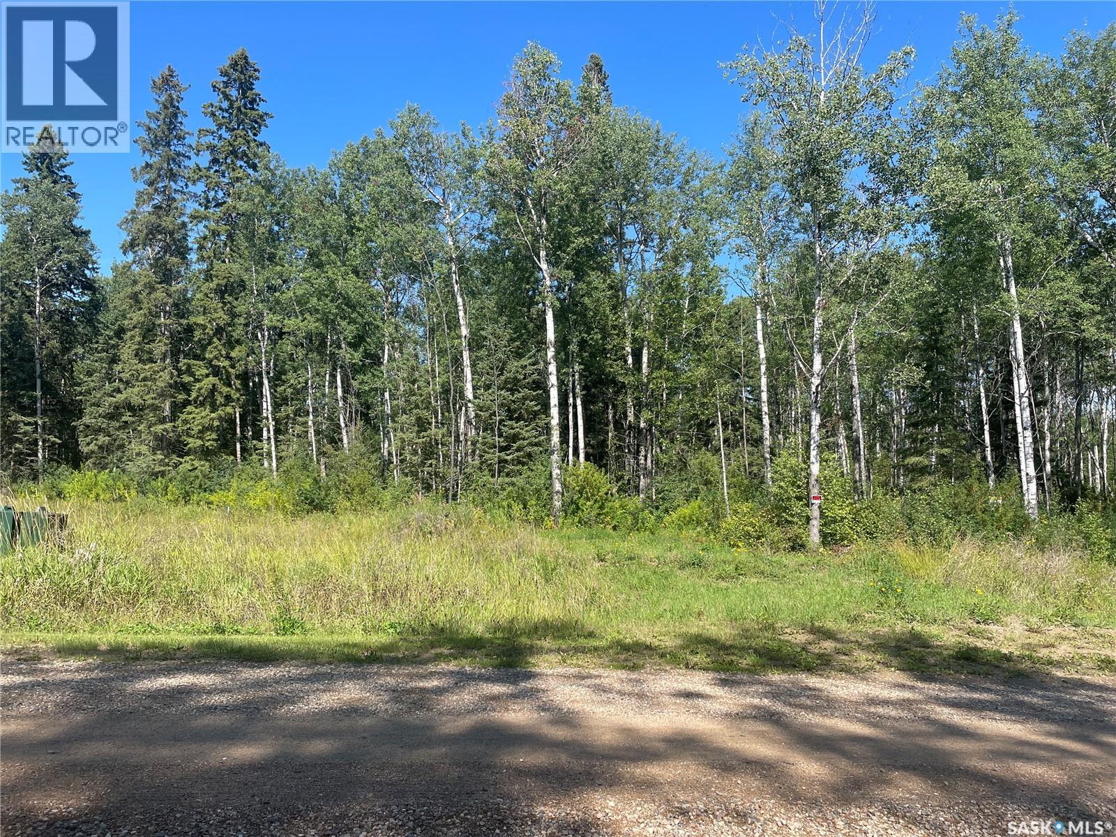 2 Phillips CRESCENT, Big River Rm No. 555, Saskatchewan