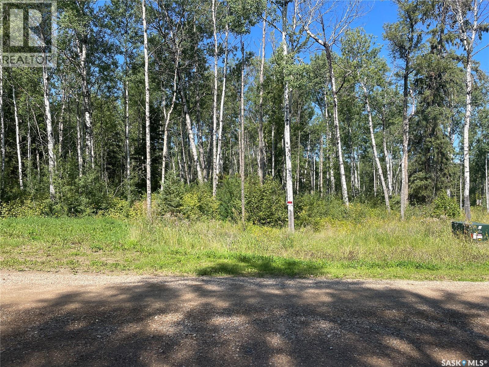 3 Phillips CRESCENT, Big River Rm No. 555, Saskatchewan