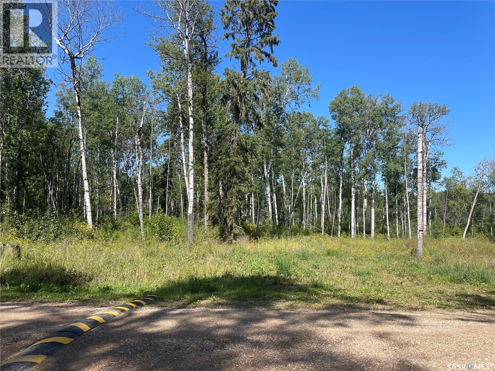 4 Phillips Crescent, Big River Rm No. 555, Saskatchewan  S0J 0E0 - Photo 2 - SK016087