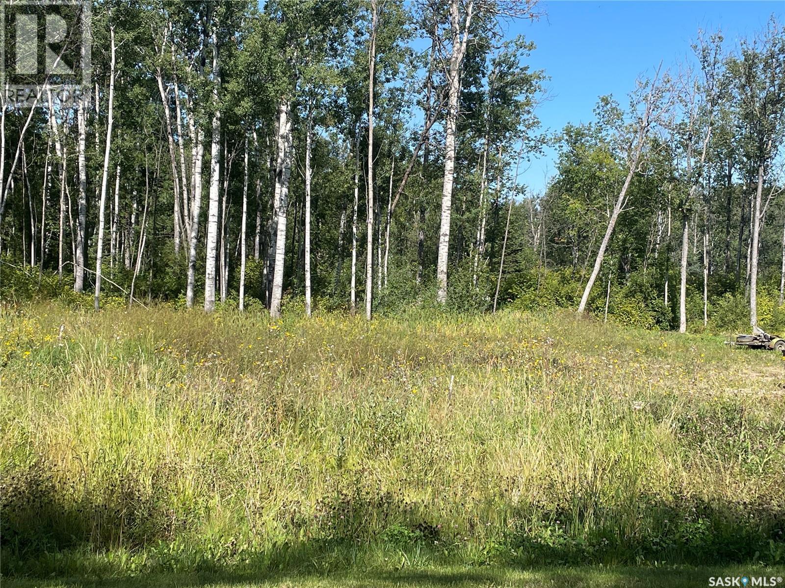 5 Phillips Crescent, Big River Rm No. 555, Saskatchewan  S0J 0E0 - Photo 2 - SK016085