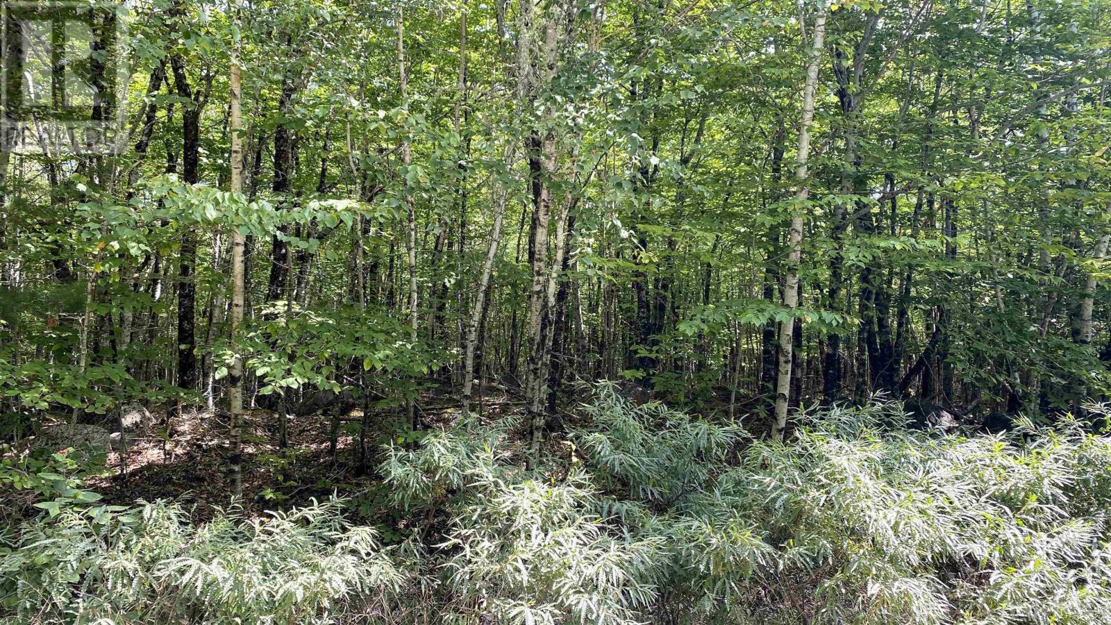 Lot 18 Peters Point Road, South Brookfield, Nova Scotia  B0T 1X0 - Photo 10 - 202521186