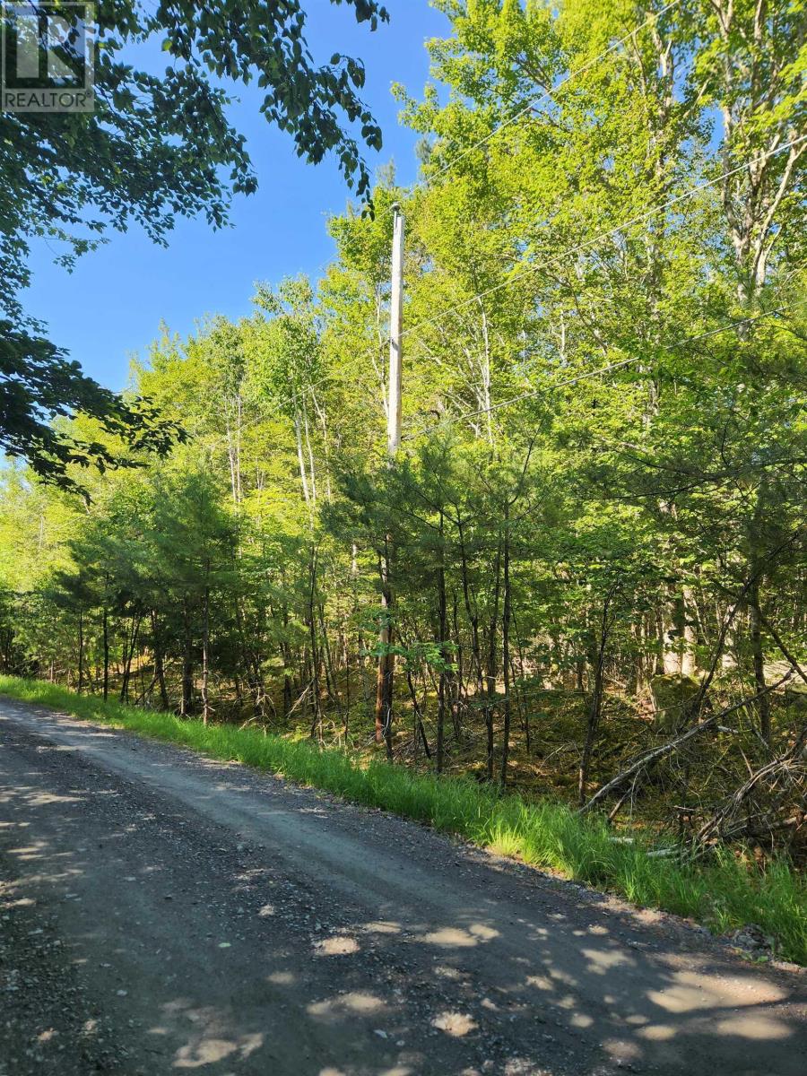 Lot 18 Peters Point Road, South Brookfield, Nova Scotia  B0T 1X0 - Photo 14 - 202521186