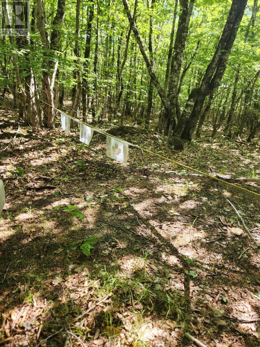 Lot 18 Peters Point Road, South Brookfield, Nova Scotia  B0T 1X0 - Photo 15 - 202521186