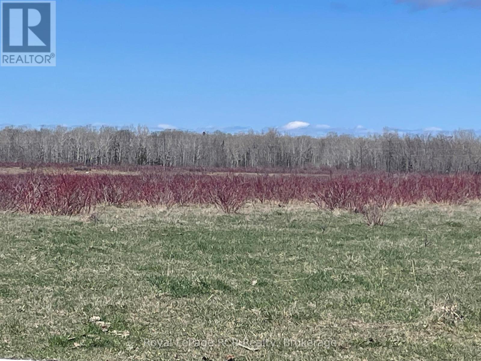 250 SCOTCH LINE ROAD, Assiginack, Ontario