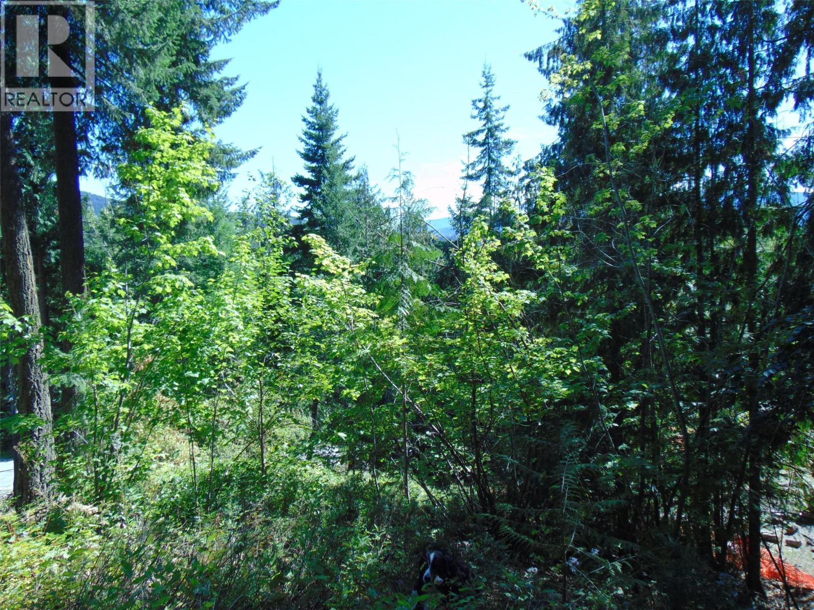 Waverly Drive Lot# 38, Blind Bay, British Columbia  V0E 1H2 - Photo 4 - 10360011