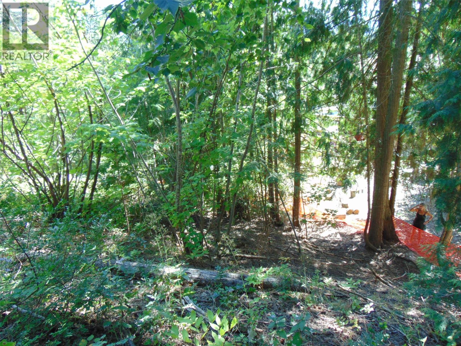 Waverly Drive Lot# 38, Blind Bay, British Columbia  V0E 1H2 - Photo 5 - 10360011