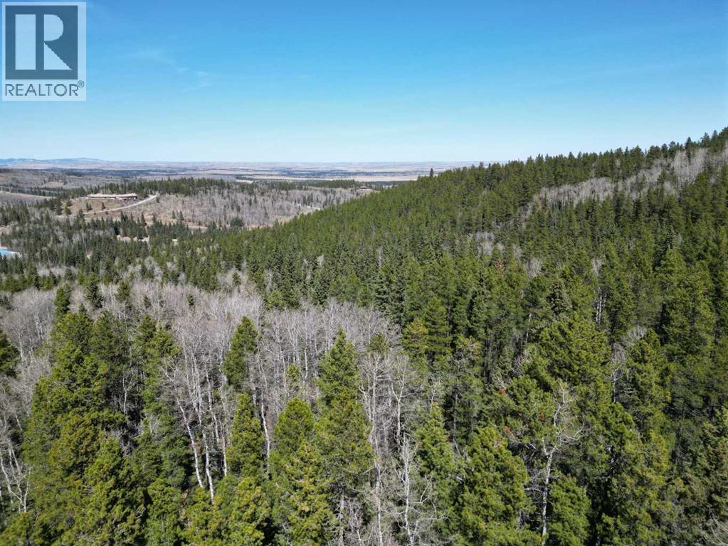 Mountain Lion Drive, Rural Rocky View County, Alberta  T0L 0K0 - Photo 13 - A2215687