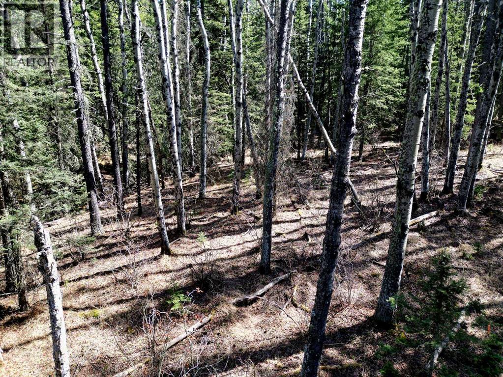 Mountain Lion Drive, Rural Rocky View County, Alberta  T0L 0K0 - Photo 17 - A2215687