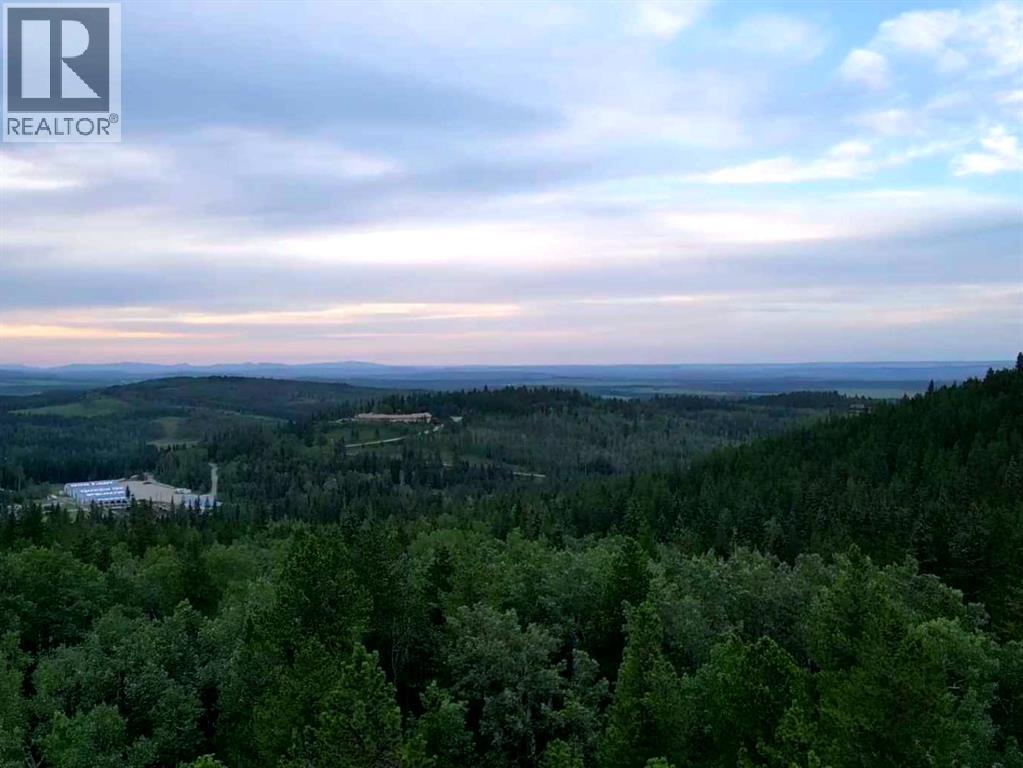 Mountain Lion Drive, Rural Rocky View County, Alberta  T0L 0K0 - Photo 2 - A2215687