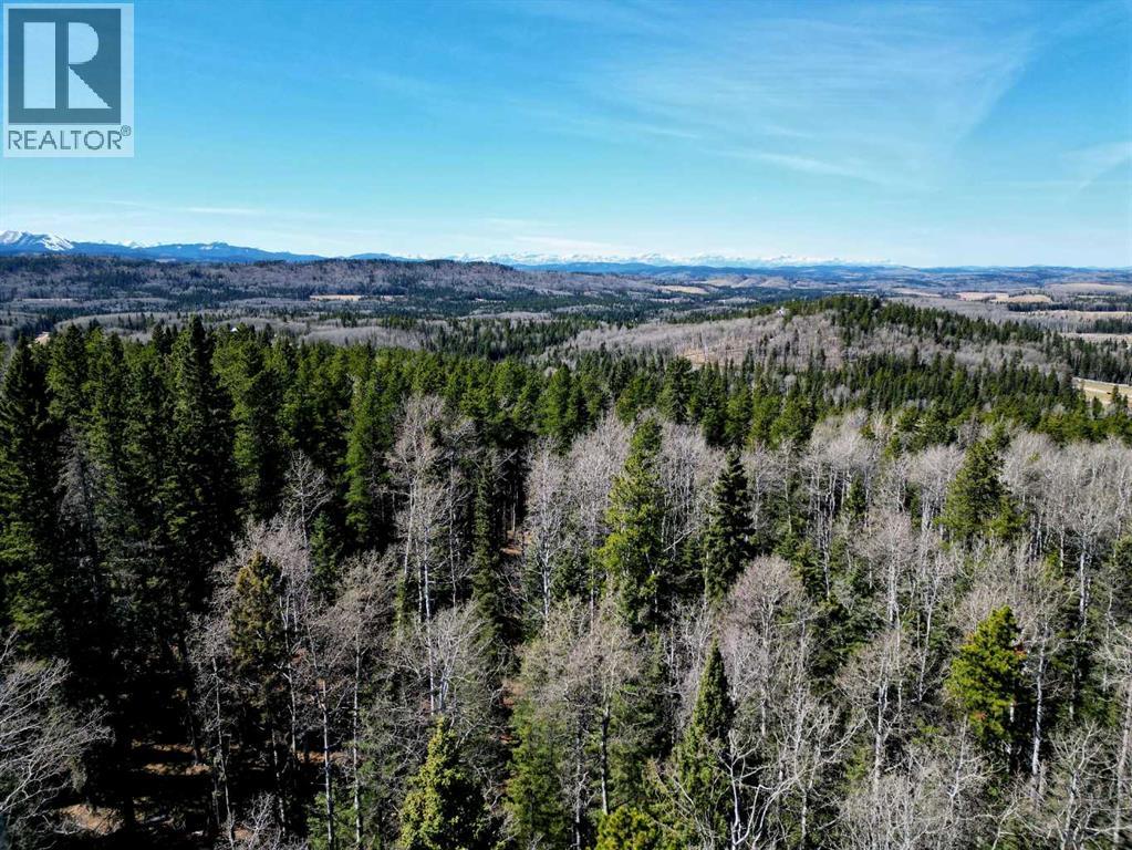 Mountain Lion Drive, Rural Rocky View County, Alberta  T0L 0K0 - Photo 11 - A2215687