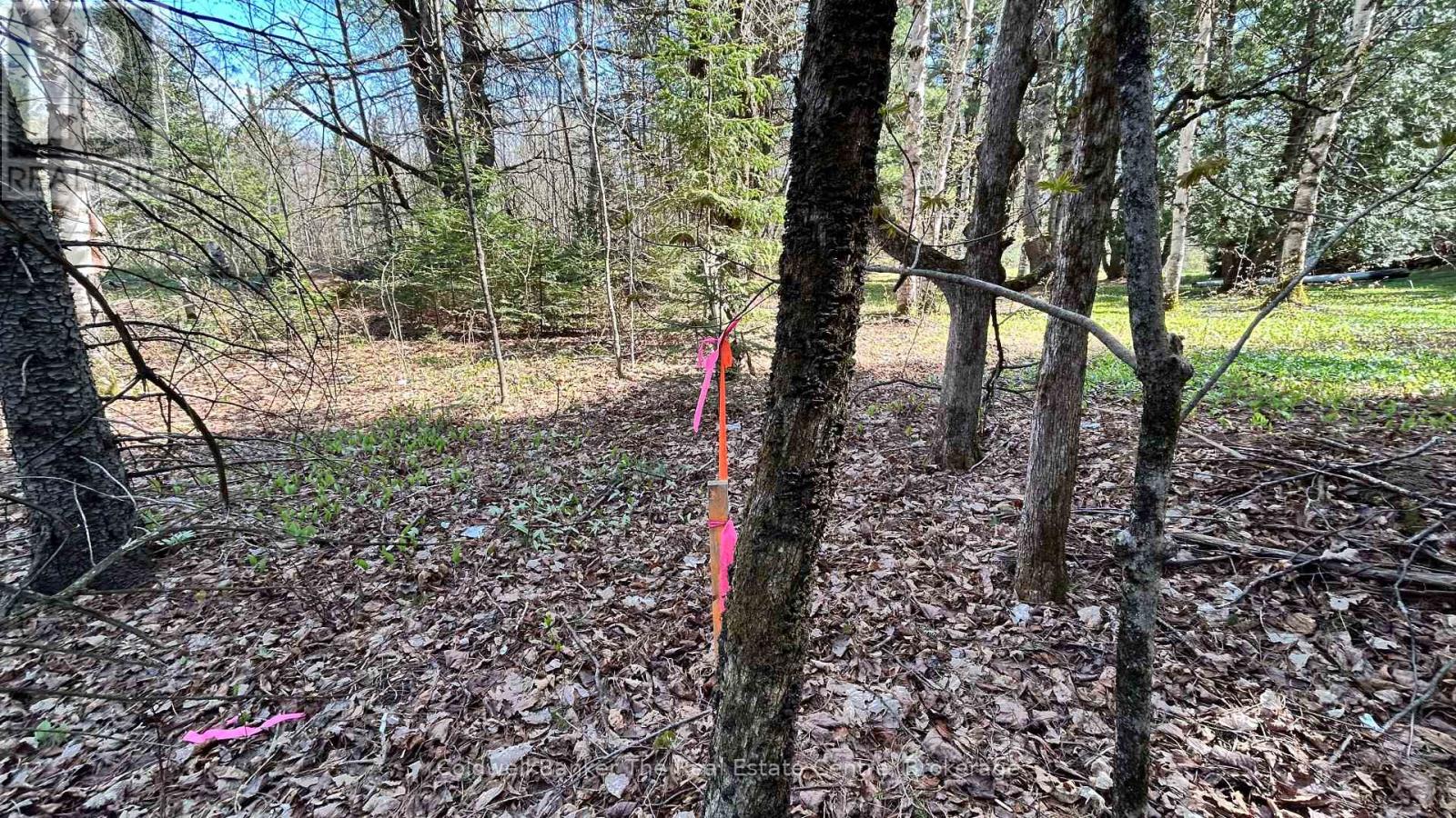 0 Ursa Road, Highlands East, Ontario  K0M 1S0 - Photo 11 - X12145817