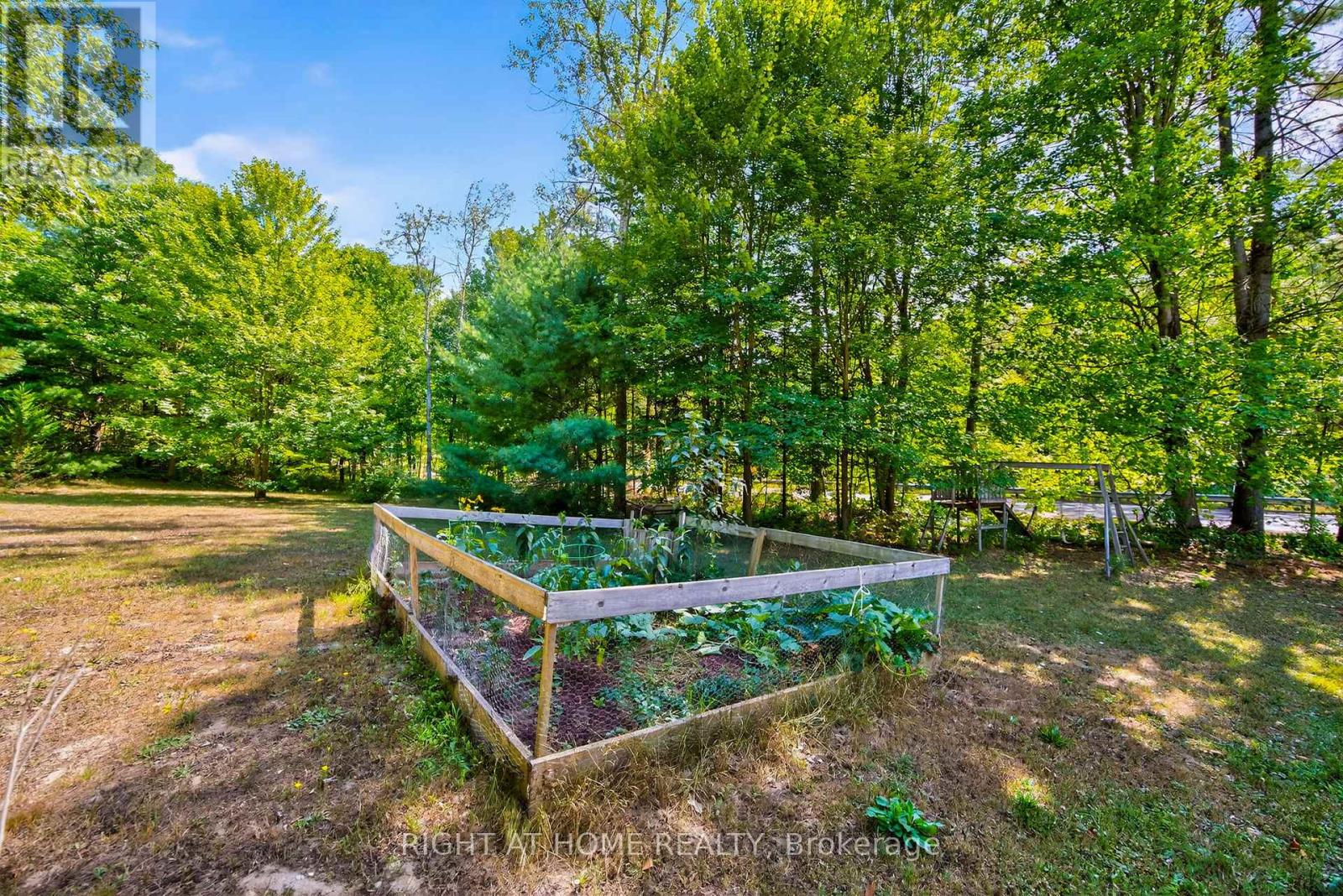 1350 Coopers Falls Road, Ramara, Ontario  L0K 2B0 - Photo 15 - S12355391
