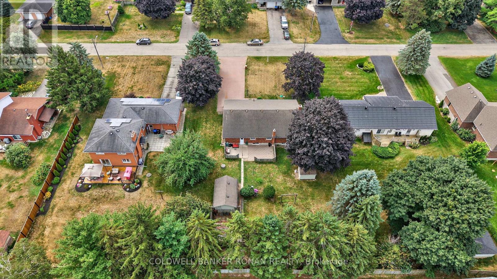 8 Douglas Drive, New Tecumseth, Ontario  L9R 1J9 - Photo 39 - N12350600