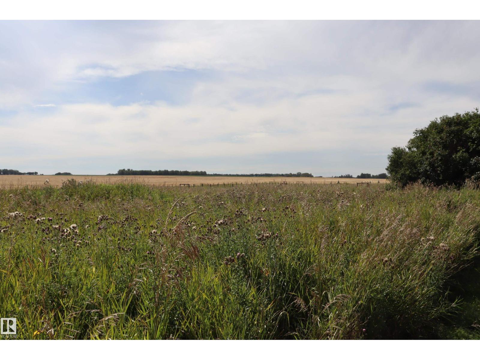 473056 Rge.rd. 234, Rural Wetaskiwin County, Alberta  T9A 1X1 - Photo 25 - E4453877