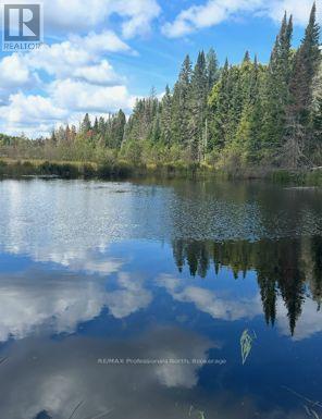 376 RIDING RANCH ROAD, south river, Ontario