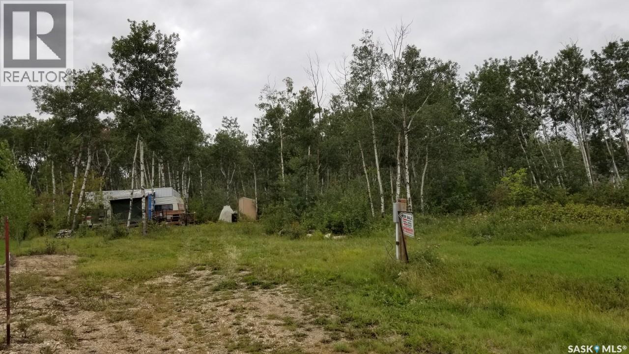 8 Kepula Lane, Calder Rm No. 241, Saskatchewan  S0A 4S0 - Photo 16 - SK016191