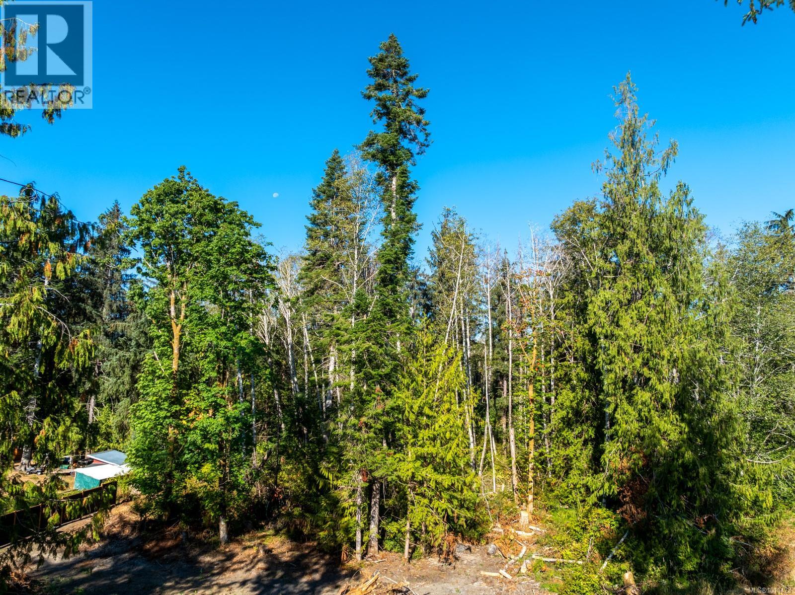 Lt19 Reef Rd, Fanny Bay, British Columbia  V0R 1W0 - Photo 10 - 1011423