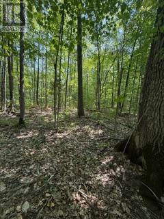 7815 Riverleigh Drive, Ramara, Ontario  L0K 2B0 - Photo 7 - S12116319