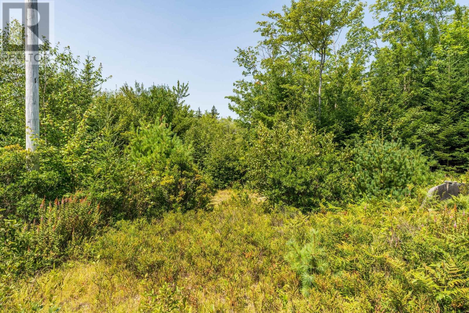 Lot 3&4 Maple Leaf Drive, East Canaan, Nova Scotia  B0W 3M0 - Photo 5 - 202521133