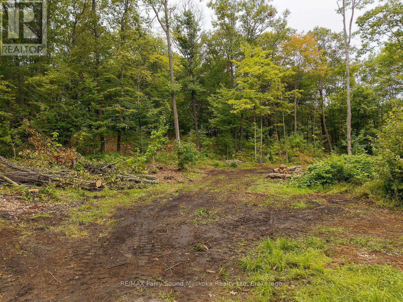104 Parry Sound Drive, Mcdougall, Ontario  P2A 2W7 - Photo 38 - X12355831