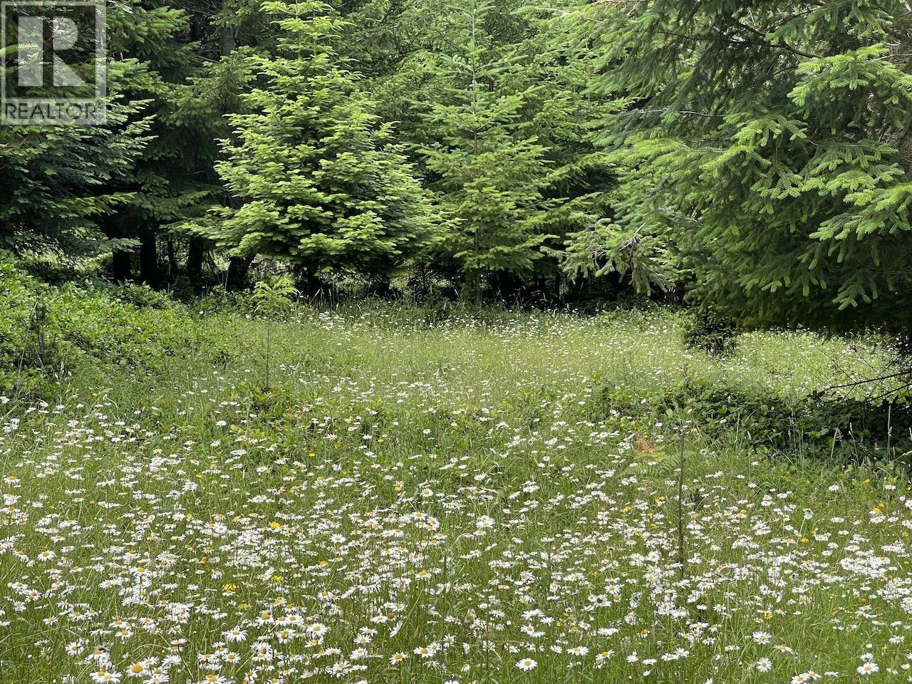 1830 Seymour Road, Gabriola Island, British Columbia  V0R 1X6 - Photo 8 - R3038378