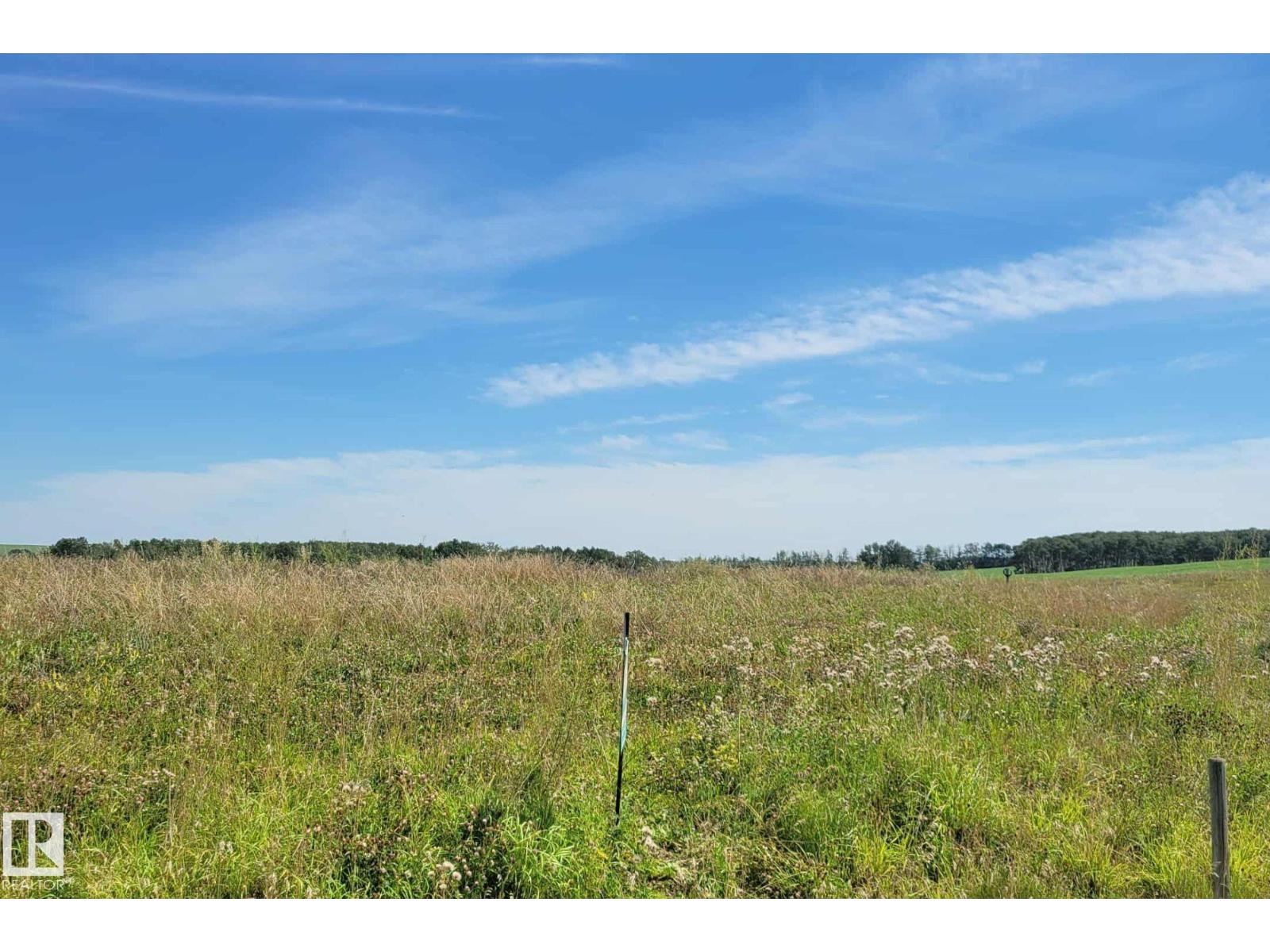 6 421057 Range Road 284, Rural Ponoka County, Alberta  T0C 2J0 - Photo 5 - E4453920