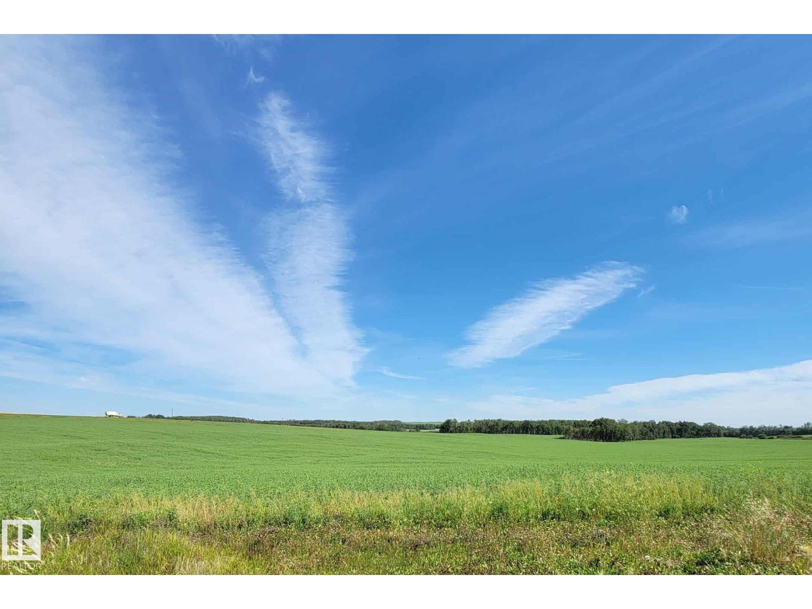 6 421057 Range Road 284, Rural Ponoka County, Alberta  T0C 2J0 - Photo 6 - E4453920