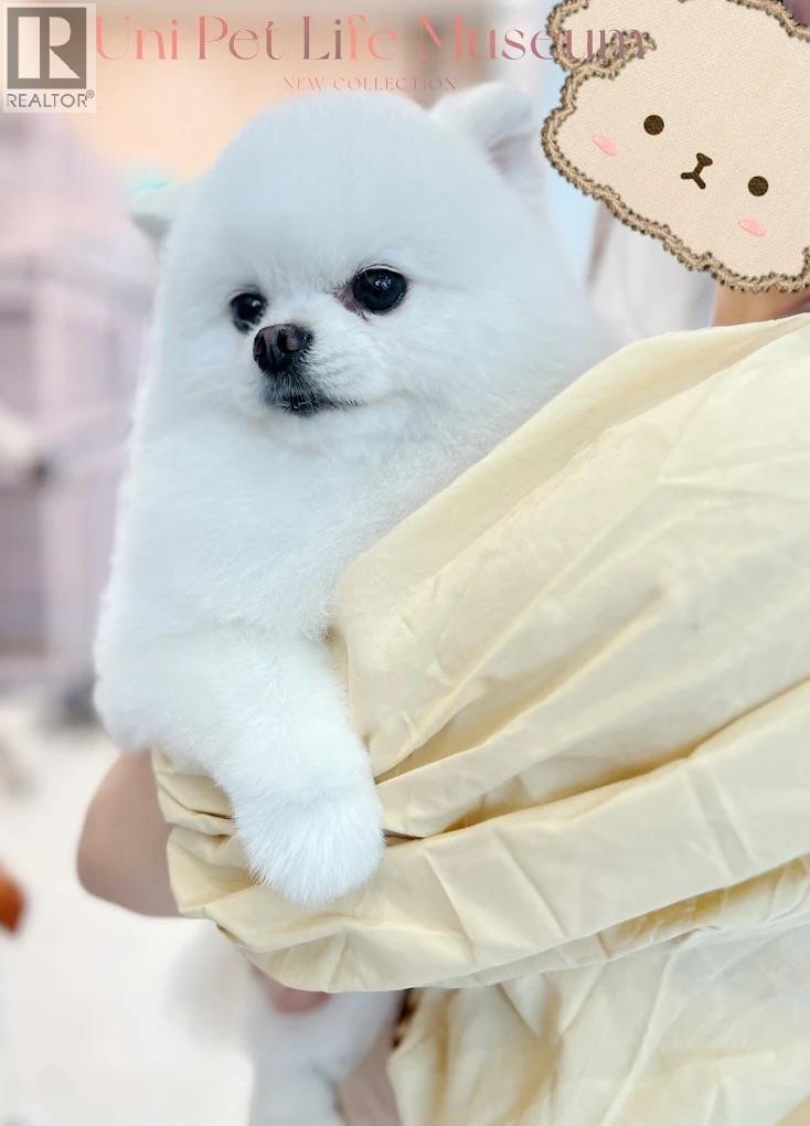 120 6386 No. 3 Road, Richmond, British Columbia  V6Y 0L8 - Photo 2 - C8071589