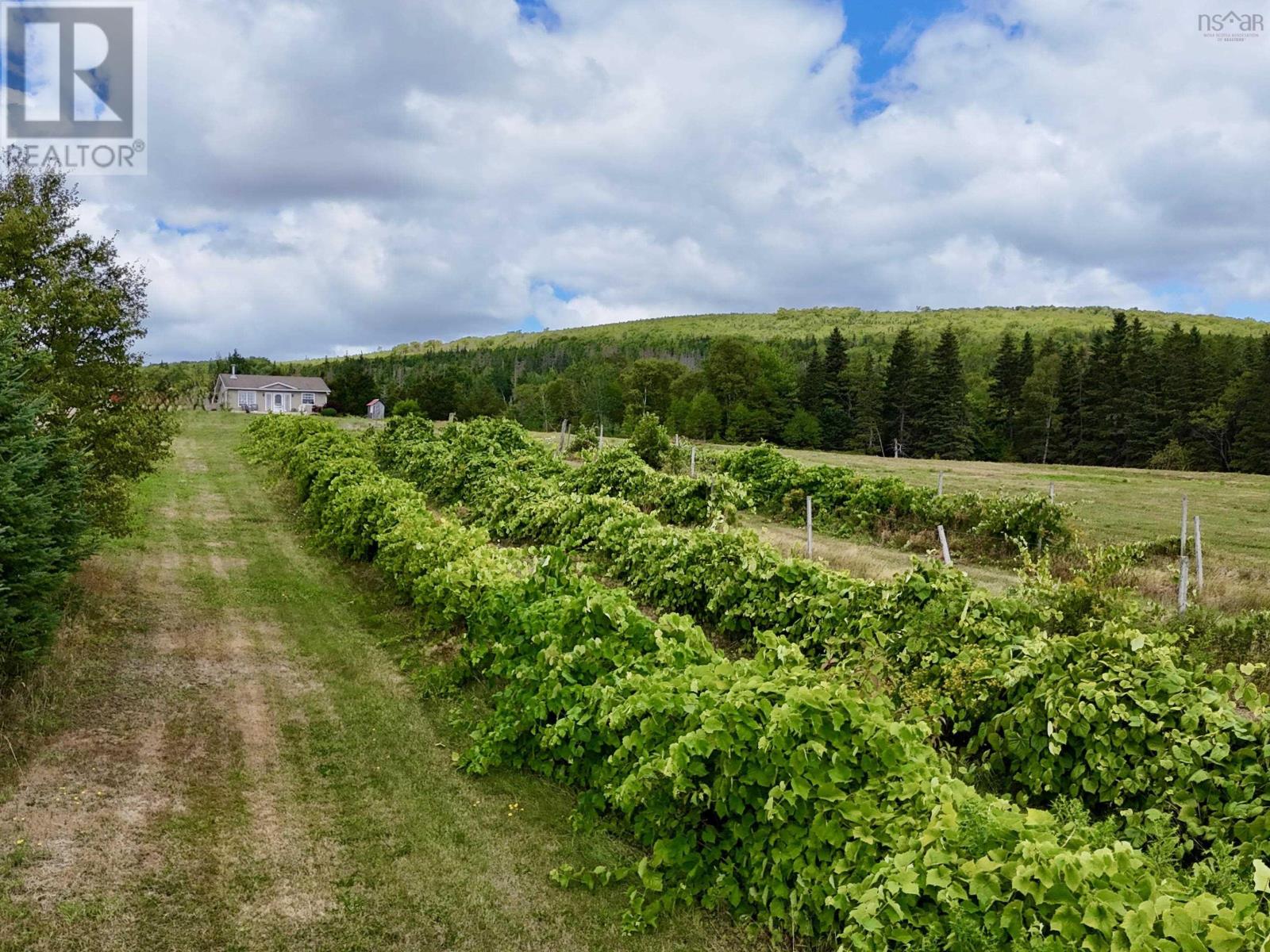 3512 Highway 252, Brook Village, Nova Scotia  B0E 1X0 - Photo 41 - 202515506