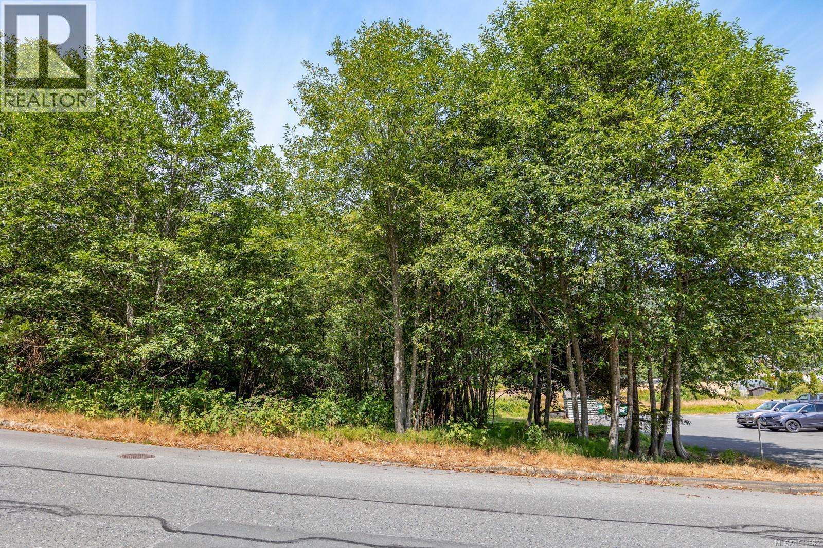 581 Macmillan Dr, Sayward, British Columbia  V0P 1R0 - Photo 4 - 1011680