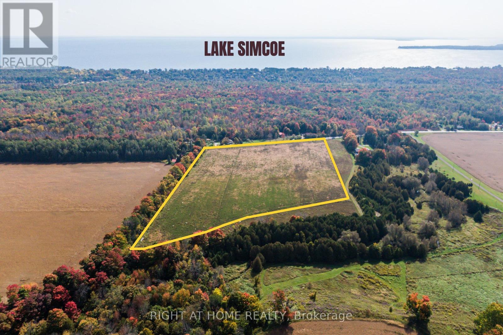 250 Ridge Road W, Oro-Medonte, Ontario  L0L 2E0 - Photo 2 - S12356288