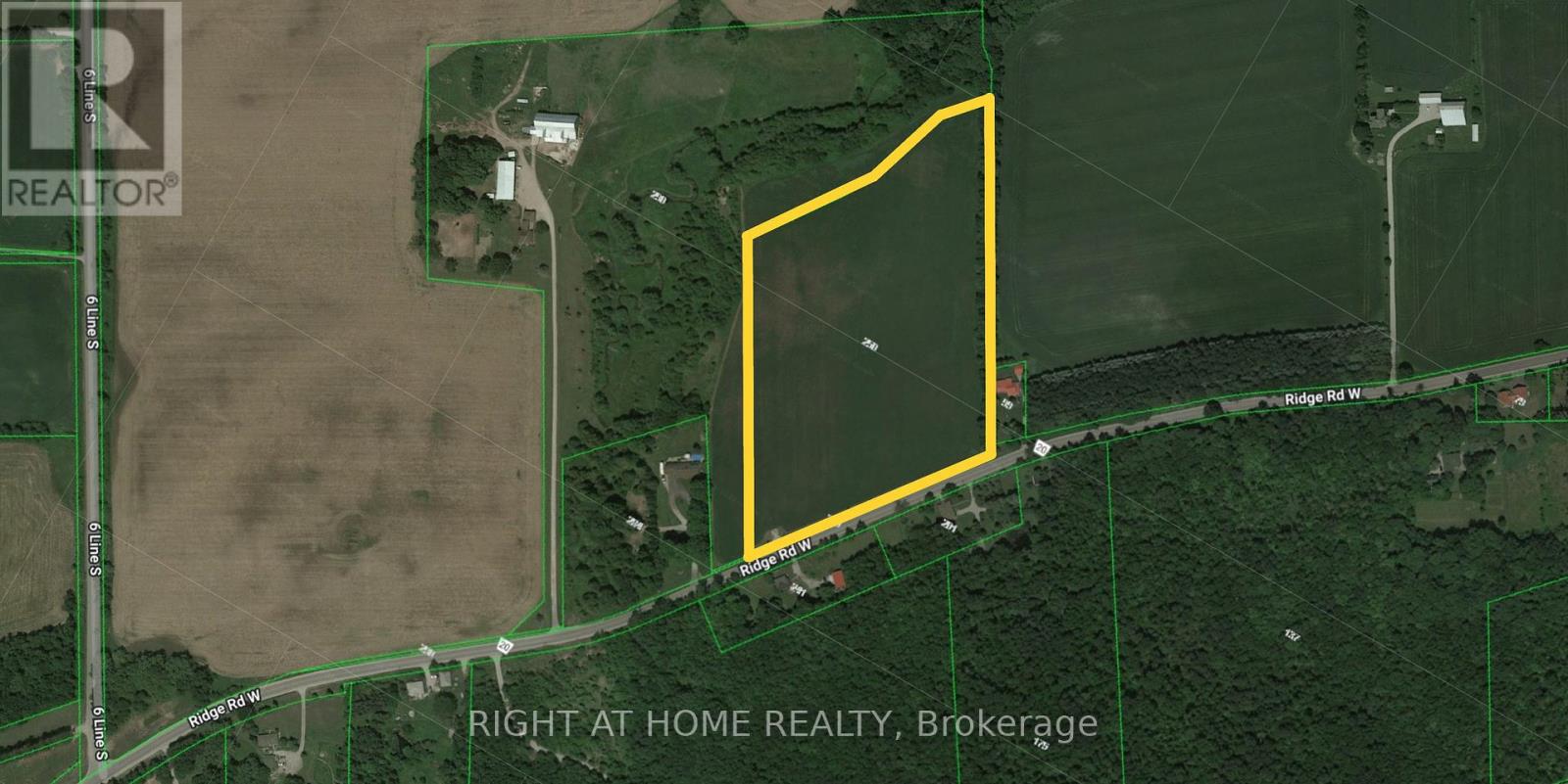 250 Ridge Road W, Oro-Medonte, Ontario  L0L 2E0 - Photo 3 - S12356288