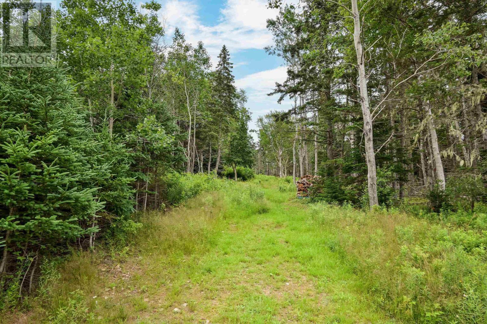 785 105 Highway, Boularderie East, Nova Scotia  B1X 1J6 - Photo 24 - 202521230