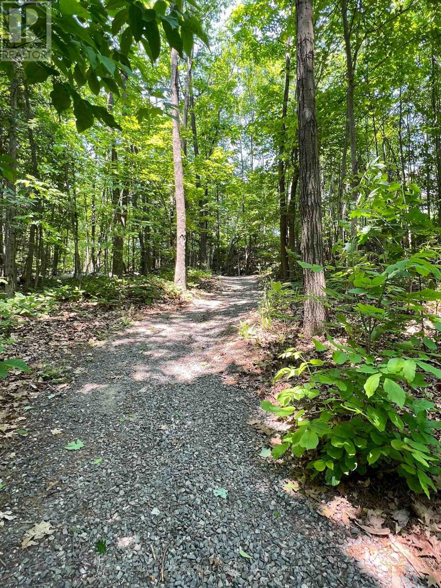 431 Grandview Hilltop Drive, Huntsville, Ontario  P1H 2J5 - Photo 43 - X12356356