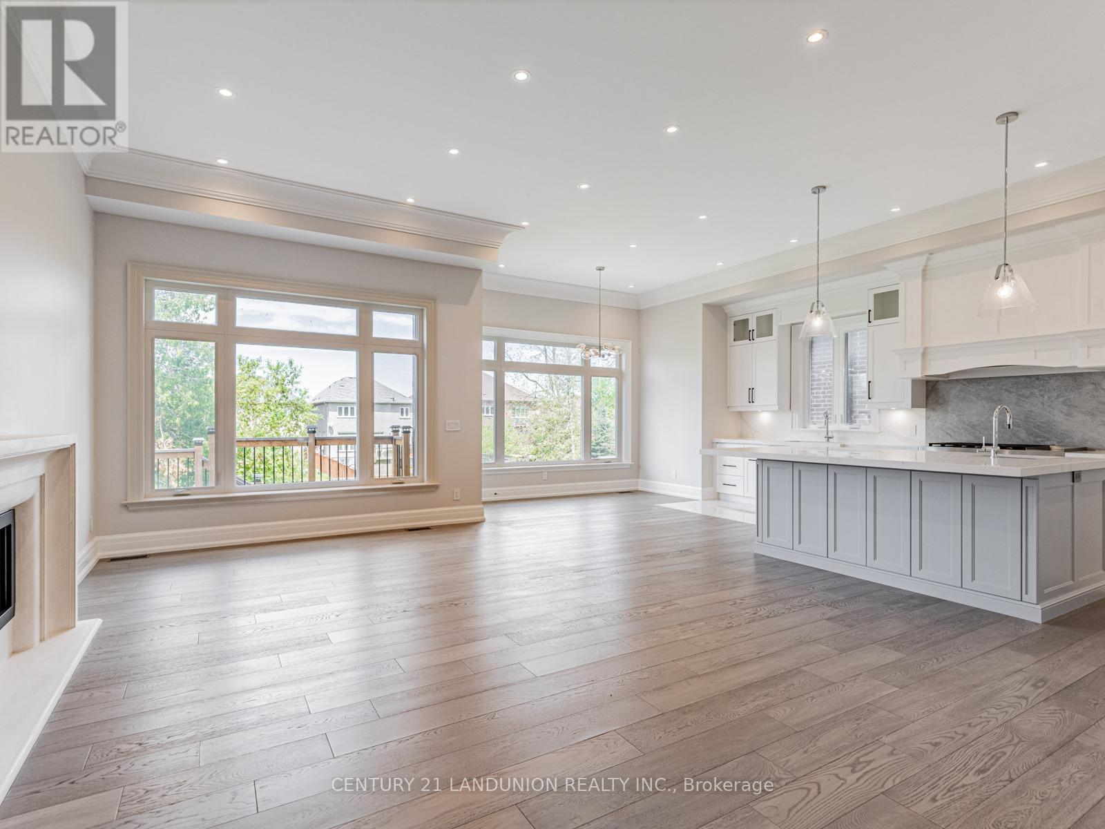 36a Elm Grove Avenue, Richmond Hill, Ontario  L4E 2W8 - Photo 9 - N12356372