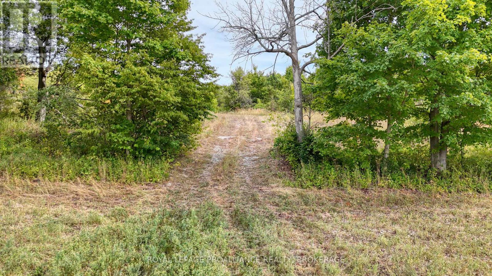 1551 County Road 1 East, Stone Mills, Ontario  K7R 3L2 - Photo 5 - X12356388