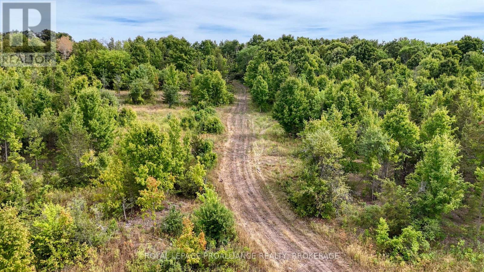 1551 County Road 1 East, Stone Mills, Ontario  K7R 3L2 - Photo 6 - X12356388
