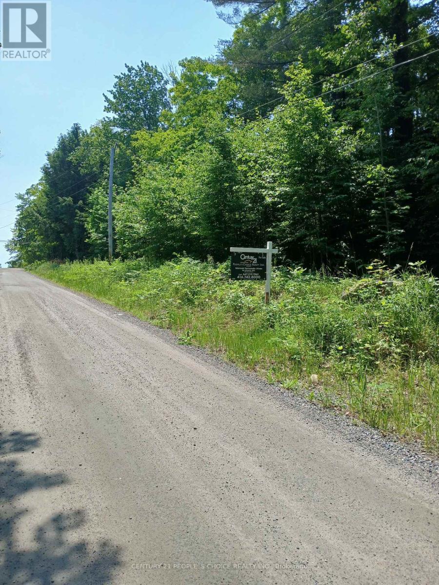 1055 Porkys Road, Minden Hills, Ontario  K0M 2K0 - Photo 4 - X12260376