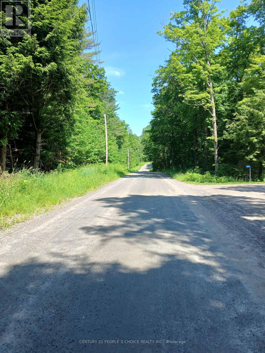 1055 Porkys Road, Minden Hills, Ontario  K0M 2K0 - Photo 5 - X12260376