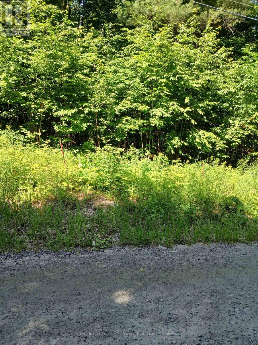 1055 Porkys Road, Minden Hills, Ontario  K0M 2K0 - Photo 7 - X12260376