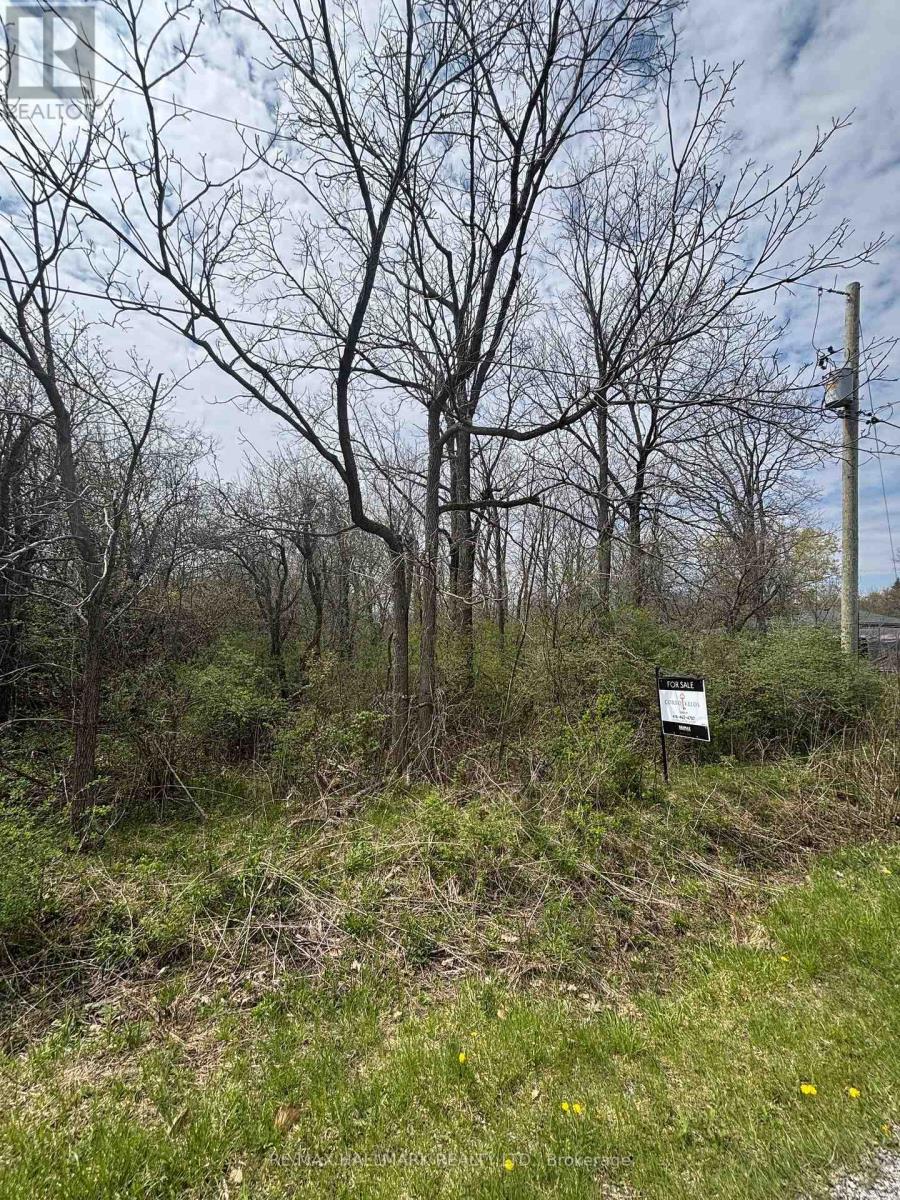 0 Bidwell Parkway, Fort Erie, Ontario  L2A 5M4 - Photo 3 - X12356346