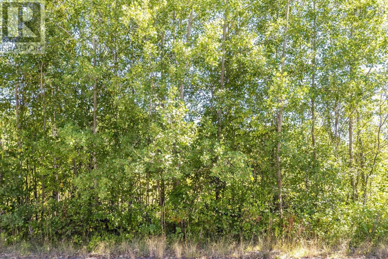 12-A Pleasant Street, Conway, Nova Scotia  B0V 1A0 - Photo 31 - 202521244