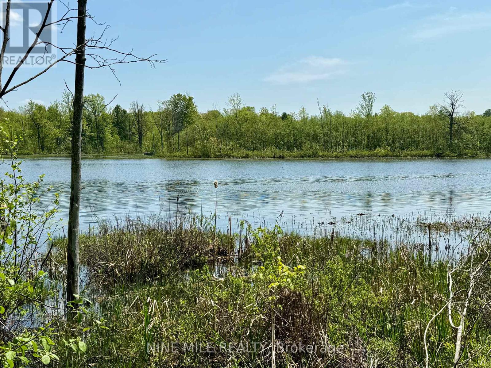 2699 Coopers Falls Road, Severn, Ontario  L0K 2B0 - Photo 20 - S12356450