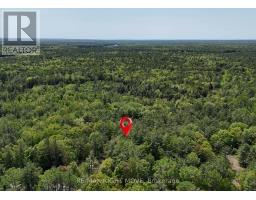 2159 Southwood Road, Gravenhurst (Morrison), Ca