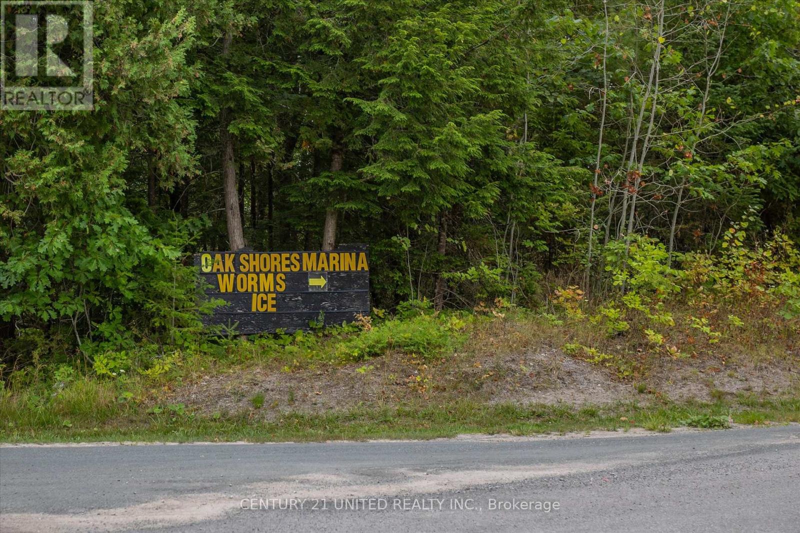 55 Northern Avenue, Trent Lakes, Ontario  K0M 1A0 - Photo 41 - X12356740